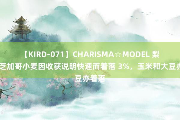 【KIRD-071】CHARISMA☆MODEL 梨々花 芝加哥小麦因收获说明快速而着落 3%，玉米和大豆亦着落