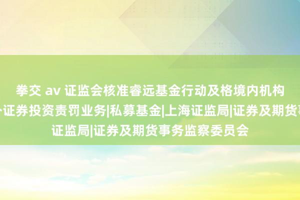 拳交 av 证监会核准睿远基金行动及格境内机构投资者从事境外证券投资责罚业务|私募基金|上海证监局|证券及期货事务监察委员会