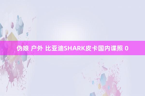 伪娘 户外 比亚迪SHARK皮卡国内谍照 0